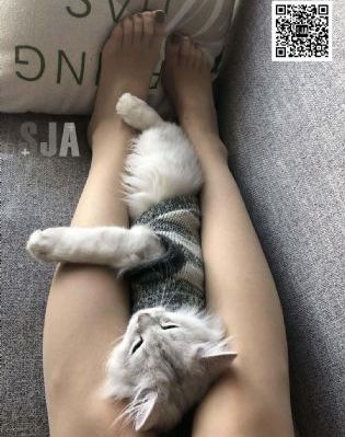 漂亮的保姆6在线播放_国产剧BD在线观看