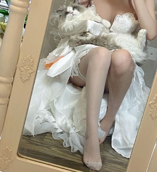 免费看成人碰碰视频_BD视频大全