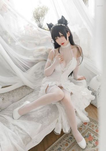 日韩视频免费在线播放_普通话在线观看